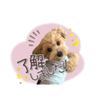 我が家のノアたん。（個別スタンプ：6）