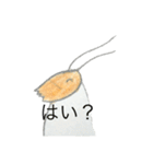 エビ人（個別スタンプ：7）