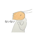エビ人（個別スタンプ：37）