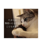 ねっこたちのスタンプ（個別スタンプ：6）
