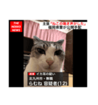 ねっこたちのスタンプ（個別スタンプ：7）
