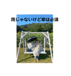 まいちゃん（part4）（個別スタンプ：13）