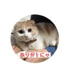 こてつ2だよ（個別スタンプ：2）