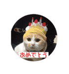 こてつ2だよ（個別スタンプ：3）