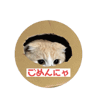 こてつ2だよ（個別スタンプ：4）