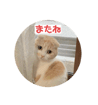 こてつ2だよ（個別スタンプ：5）