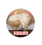 こてつ2だよ（個別スタンプ：6）