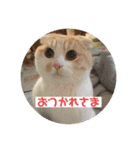 こてつ2だよ（個別スタンプ：7）