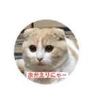 こてつ2だよ（個別スタンプ：8）