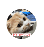 こてつ2だよ（個別スタンプ：9）