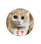 こてつ2だよ（個別スタンプ：10）