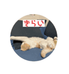 こてつ2だよ（個別スタンプ：11）