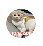 こてつ2だよ（個別スタンプ：13）