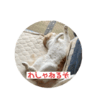 こてつ2だよ（個別スタンプ：14）