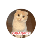 こてつ2だよ（個別スタンプ：15）
