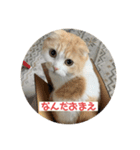 こてつ2だよ（個別スタンプ：16）