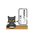 感情の薄い黒猫 M01（個別スタンプ：9）