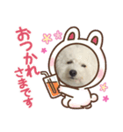 マロ殿下（個別スタンプ：3）