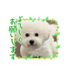 マロ殿下（個別スタンプ：5）