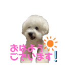マロ殿下（個別スタンプ：13）
