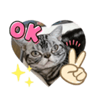 The cutest Jermaine（個別スタンプ：1）