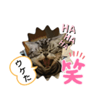 The cutest Jermaine（個別スタンプ：5）