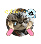 The cutest Jermaine（個別スタンプ：7）
