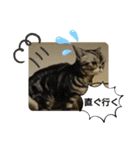 The cutest Jermaine（個別スタンプ：8）