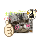 The cutest Jermaine（個別スタンプ：9）
