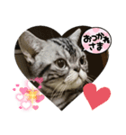 The cutest Jermaine（個別スタンプ：10）