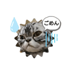The cutest Jermaine（個別スタンプ：14）