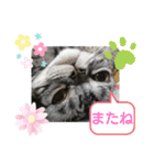 The cutest Jermaine（個別スタンプ：16）