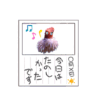 いそぎん〜安住の地を求めて〜（個別スタンプ：20）