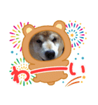 りおの生活（個別スタンプ：7）