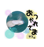 海。空撮スタンプ(12)（個別スタンプ：15）