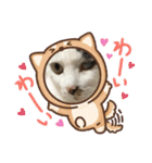 猫のスタンプリリリリメイク（個別スタンプ：19）