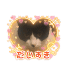 猫のスタンプリリリリメイク（個別スタンプ：20）
