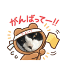 猫のスタンプリリリリメイク（個別スタンプ：21）