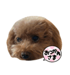 あんずともずく2（個別スタンプ：3）