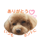 あんずともずく2（個別スタンプ：15）