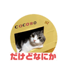 ココとウィル（個別スタンプ：6）
