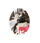 ココとウィル（個別スタンプ：13）