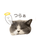 まろちゃんスタンプ☆（個別スタンプ：1）