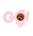 紫友会 わんにゃん✨（個別スタンプ：22）