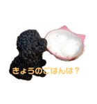 黒プーのすぅちゃんスタンプ（個別スタンプ：13）