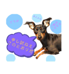 みにぴんライフ②（個別スタンプ：4）