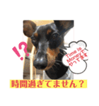 みにぴんライフ②（個別スタンプ：6）