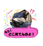 みにぴんライフ②（個別スタンプ：7）
