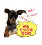 みにぴんライフ②（個別スタンプ：11）