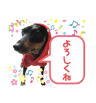 みにぴんライフ②（個別スタンプ：13）